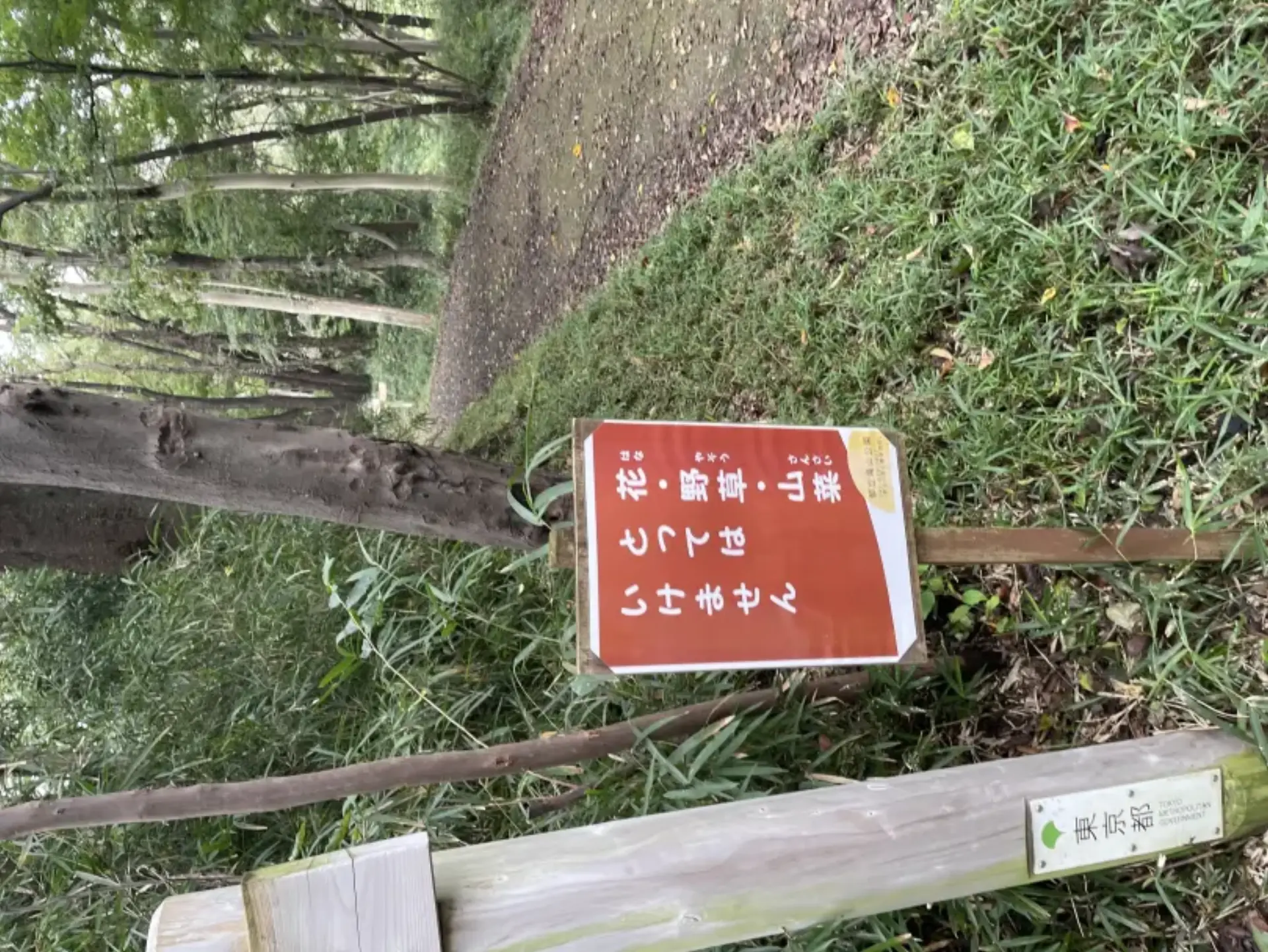 IMG_8105.JPG (5.6 MB)
